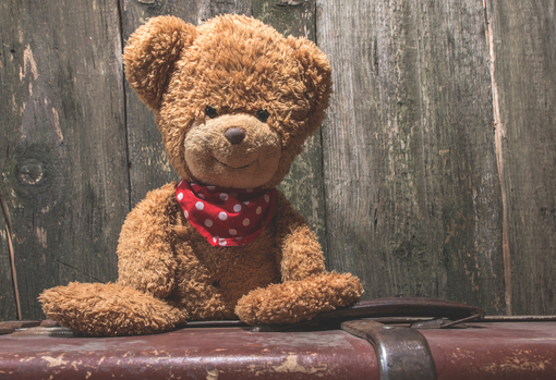 teddy-bear Unwanted teddy bear waiting for a new home