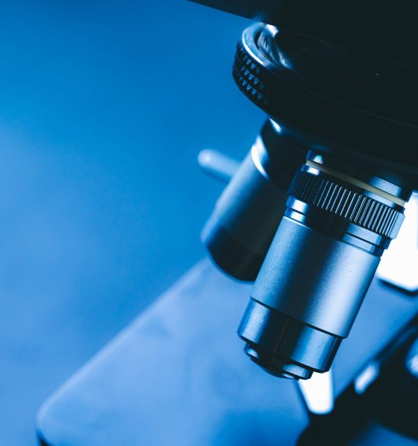 Microscopic Examination